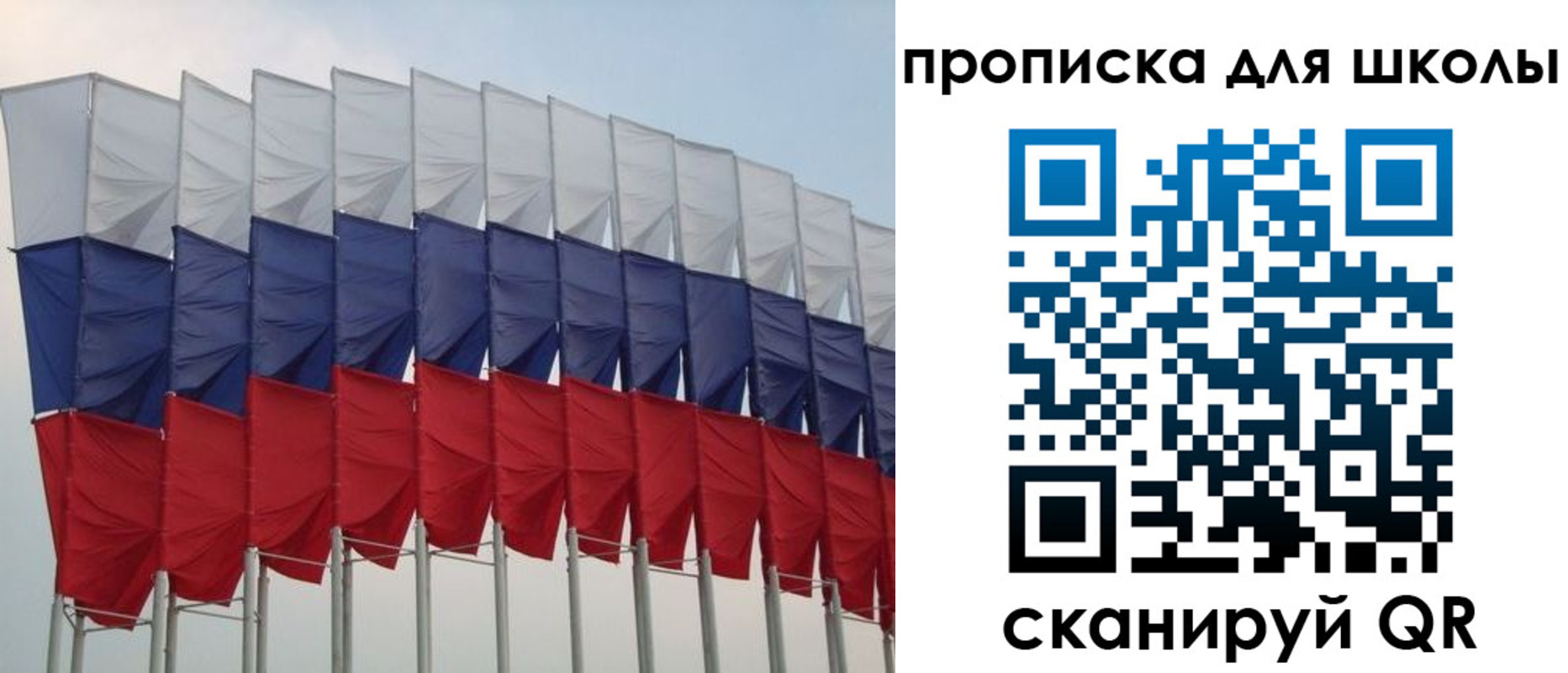 прописка для работы в Светлогорске